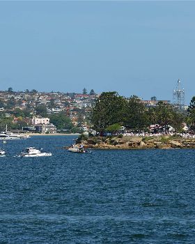 2020 Sail GP Sydney (Saturday)