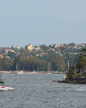 2020 Sail GP Sydney (Saturday)
