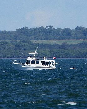 2017 "A" Class Catamaran State Titles (Day 2)