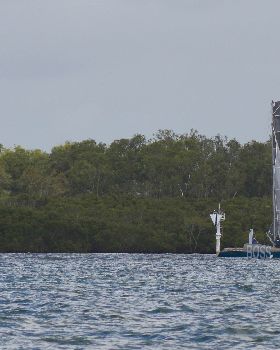 BOSS Racing (Catamaran) 2018 B2G