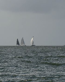 BOSS Racing (Catamaran) 2018 B2G