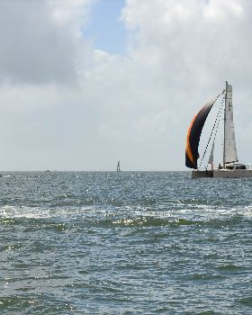 BOSS Racing (Catamaran) 2018 B2G