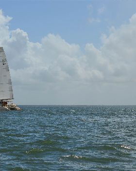 BOSS Racing (Catamaran) 2018 B2G