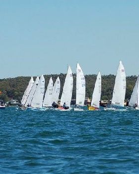 Zhik single handed regatta 2008