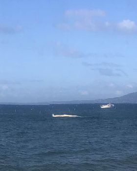 Sailing