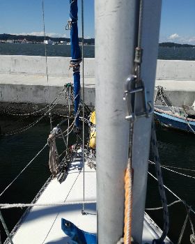 mast clean 2
