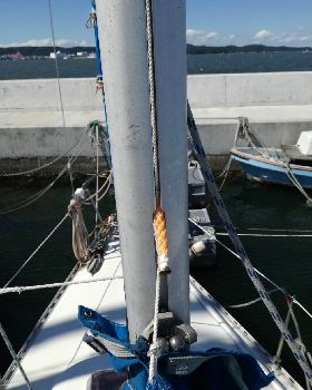 mast clean 3