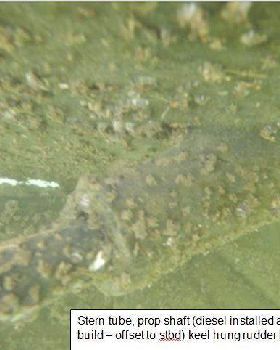 photo3