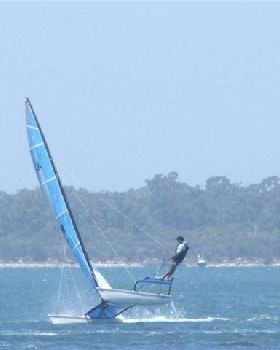 Australia Day 09 flying high