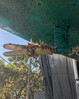 Below waterline before pressure wash