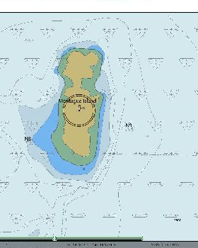 Montague Island