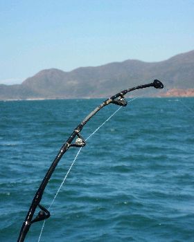 Cruising Hinchinbrook