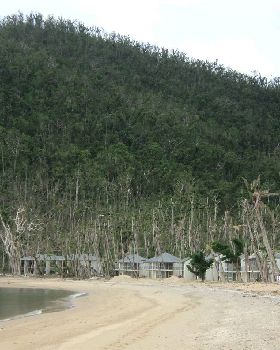 DSC00267