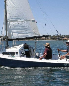 Swan Eagle 013