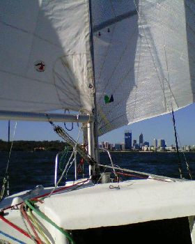 Cruising on the Swan