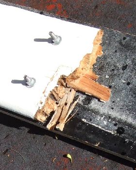 rudder detail.JPG copy