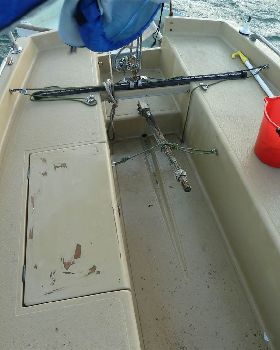 Livelyhood after cleanup