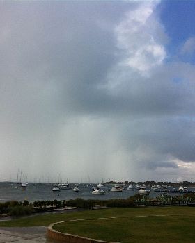 A sea of Masts - cropped