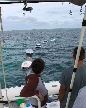 VDS 34 Abrolhos 2