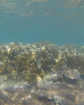GOPR0487
