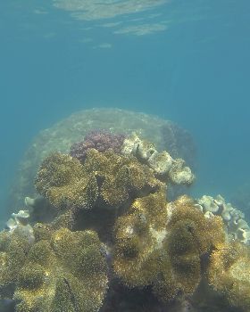 GOPR0474