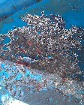Anode Growth 1