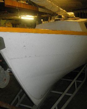 P5100122 (2).jpgBBB