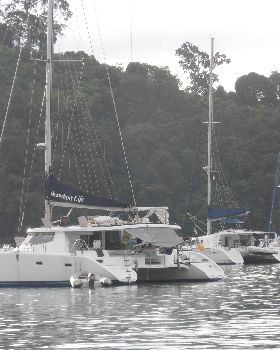 The Cattery, Langkawai
