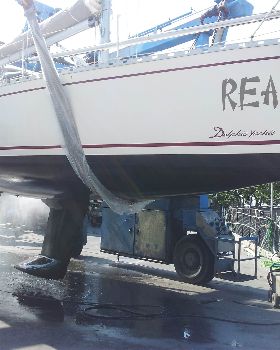 REA Newcastle NSW
