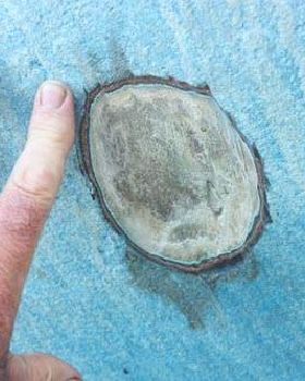 Osmosis after grinding out