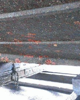 Ultrasonic Antifouling results for above post