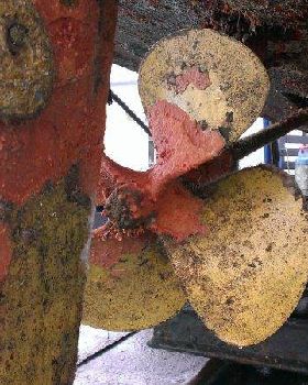 Ultrasonic Antifouling results for above post