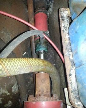 Stern gland