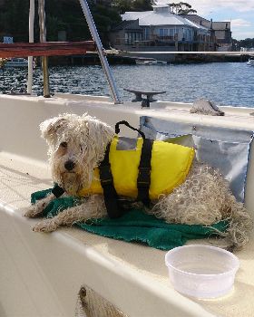 Sailing