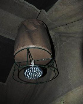 bucket-shower1[1]