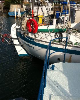 fleming canoe stern