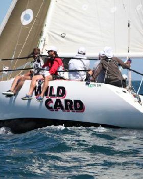 Wild Card 1