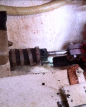Old stern gland