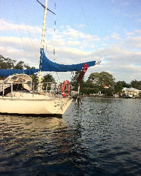 aries wind vane