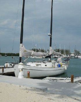 freedom 33