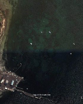 Seagrass scars