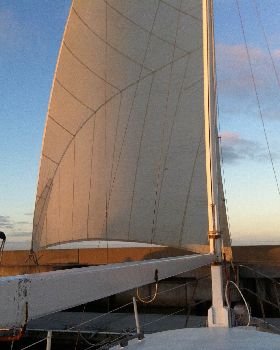 2014-11-27 20.09.46