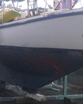 IMAG0762