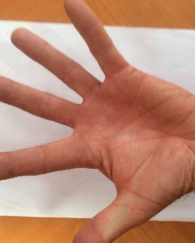 Hands
