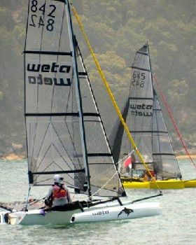 Wetas at Palm Beach