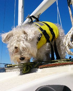 Sailing