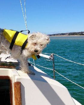 Sailing