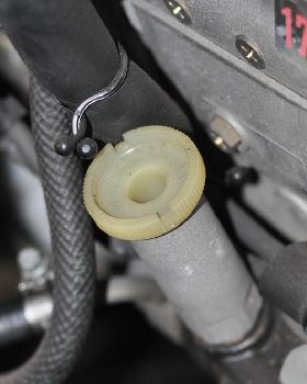 Diesel Purge 4
