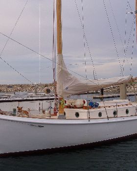Setanta (Formerly named Christine)