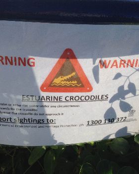 Croc in the Marina!